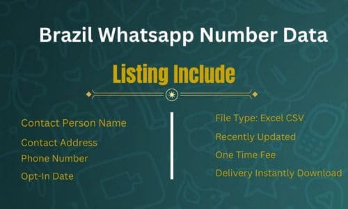 巴西 WhatsApp 号码