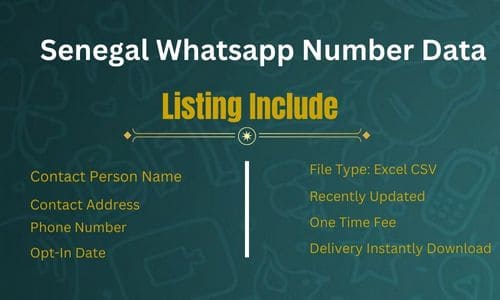 塞内加尔 WhatsApp 号码